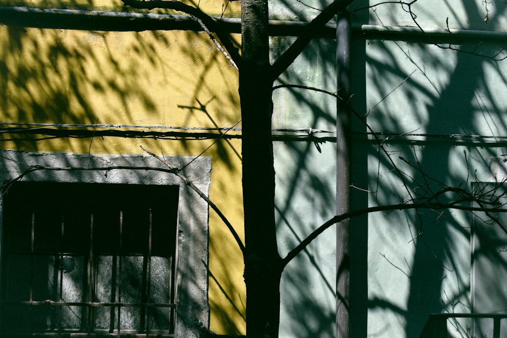 black metal window frame on yellow concrete wall