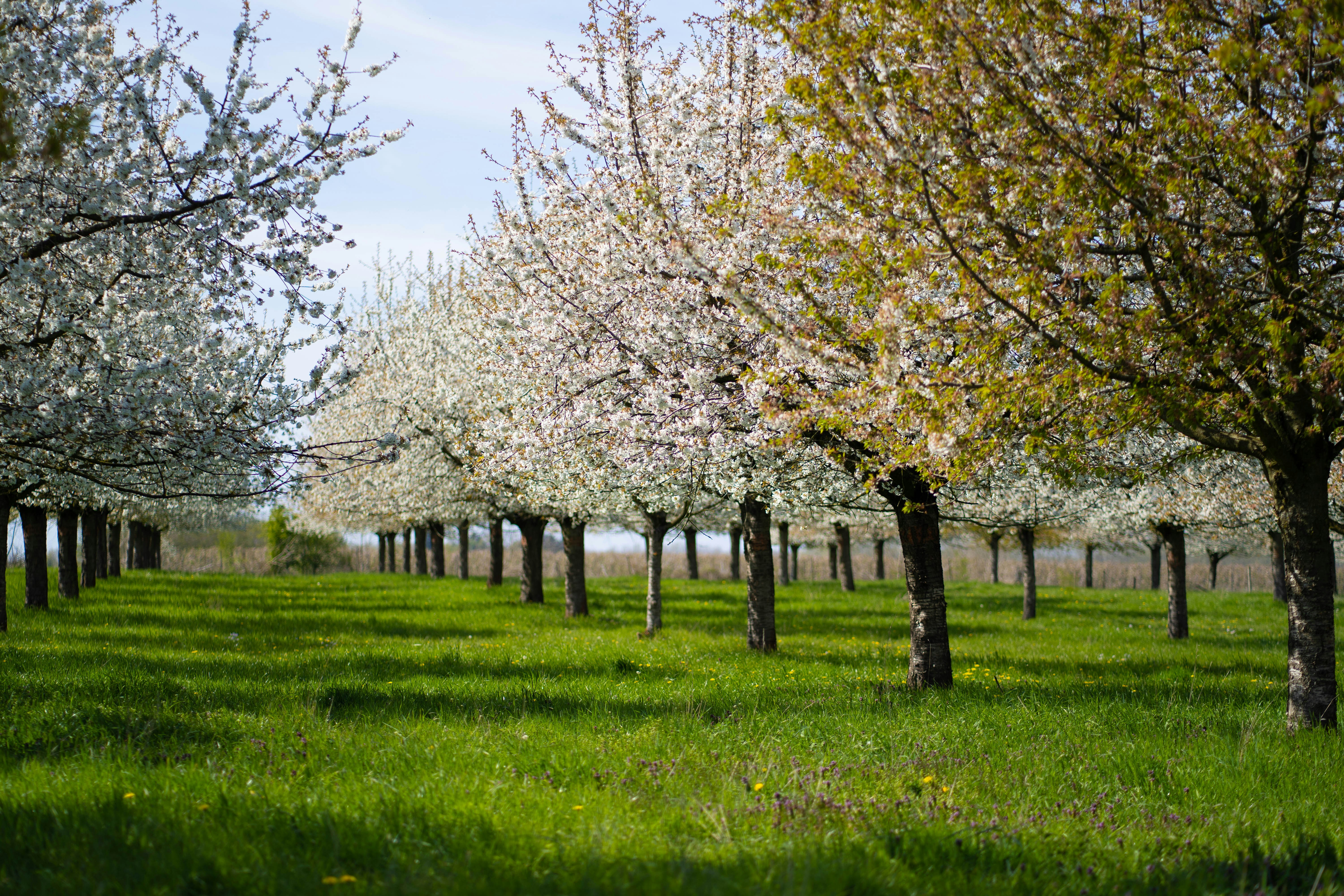 Photo by michelstock