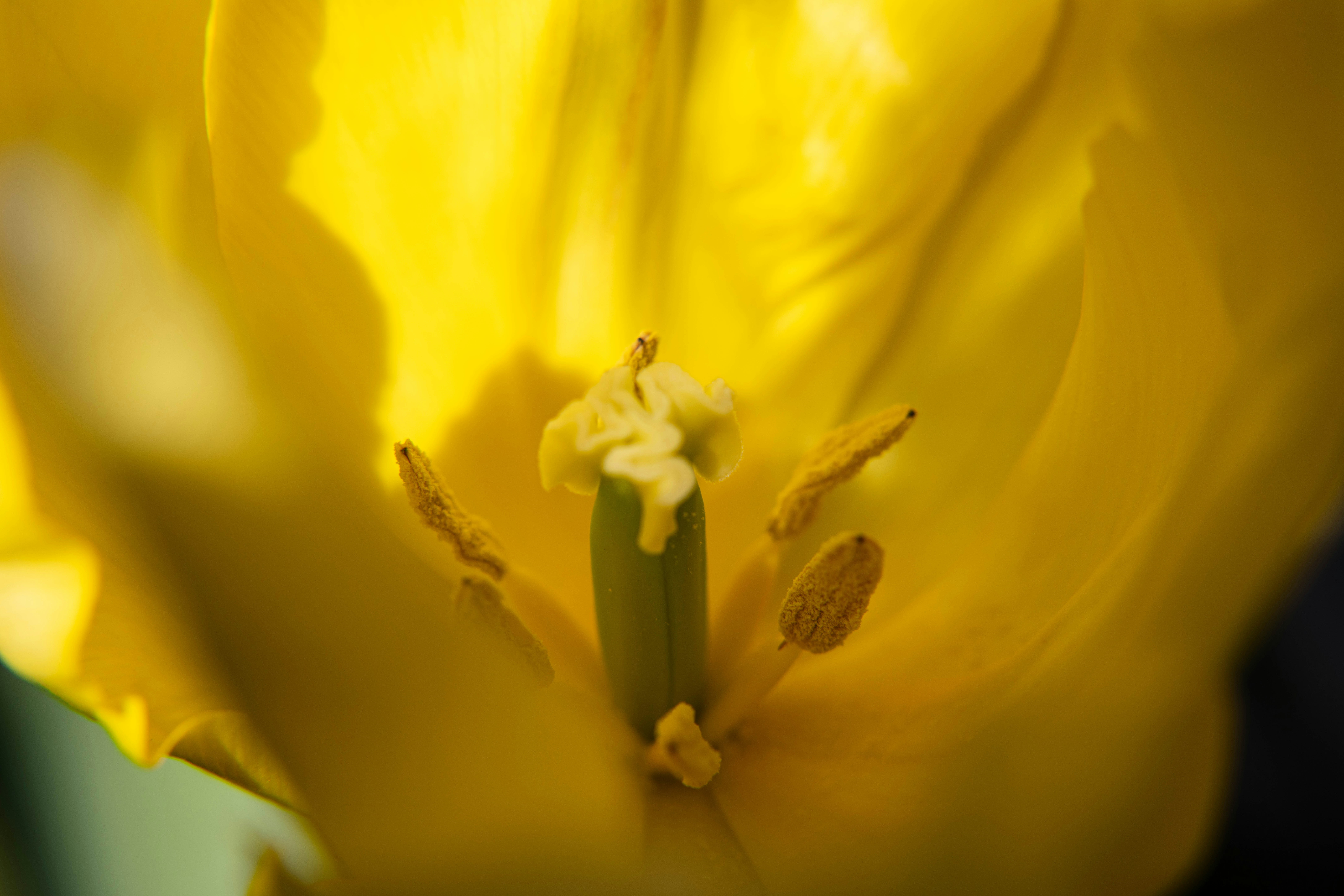 Photo by magda_smolen