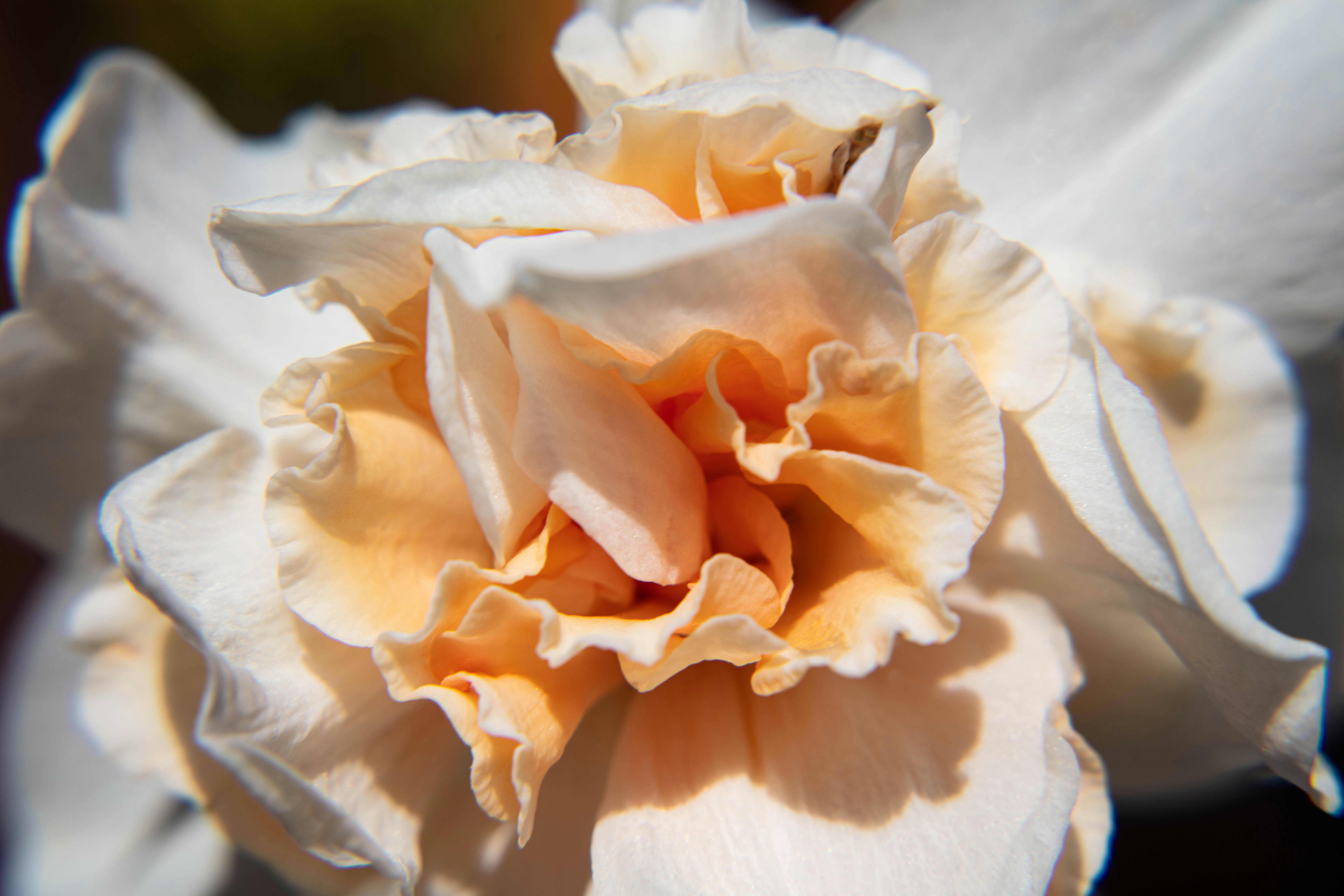 Photo by magda_smolen