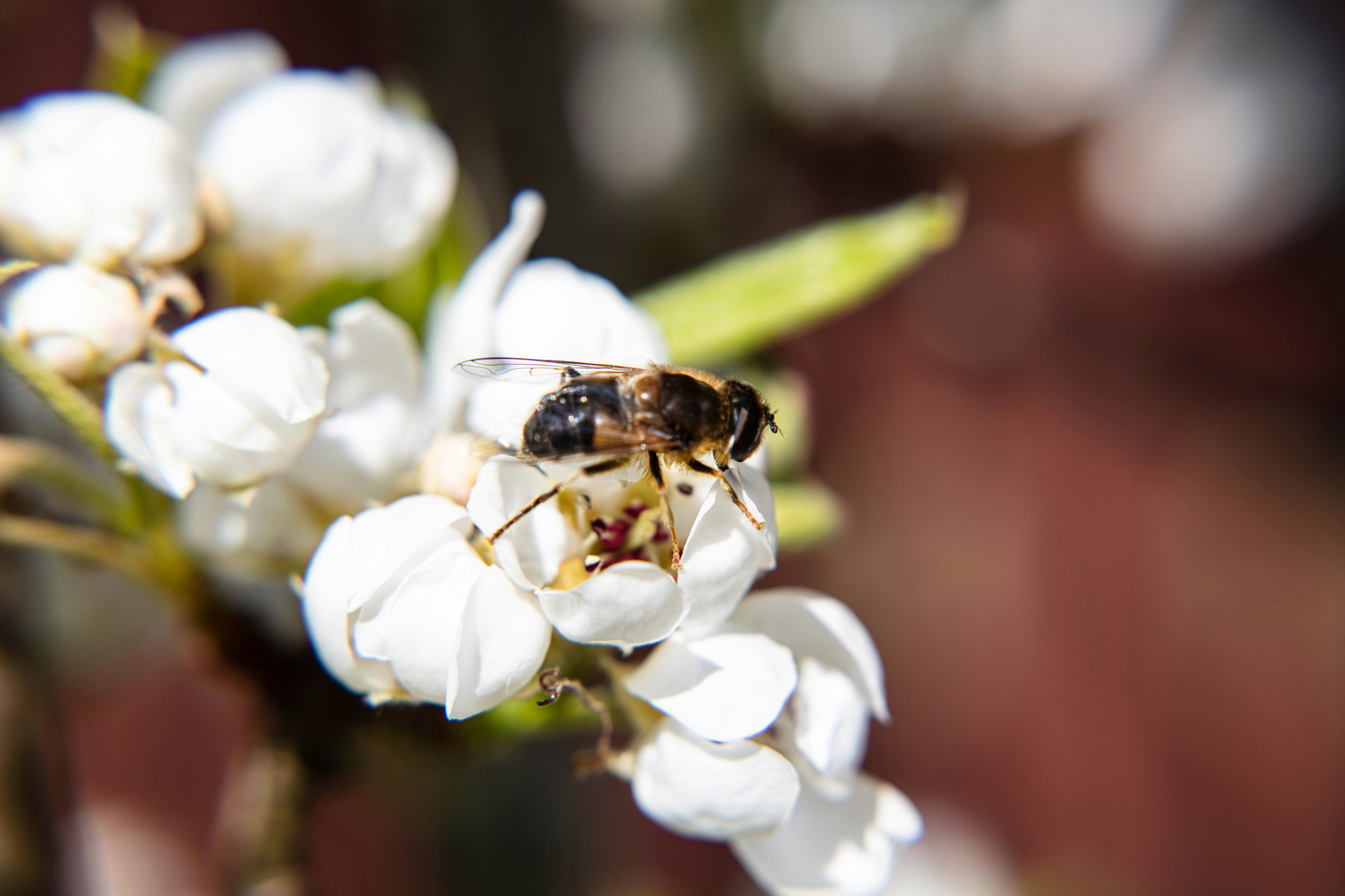 Photo by magda_smolen