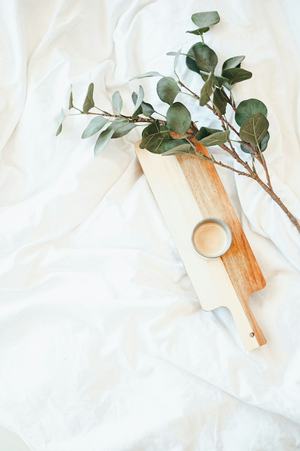 green leaves on brown wooden chopping board