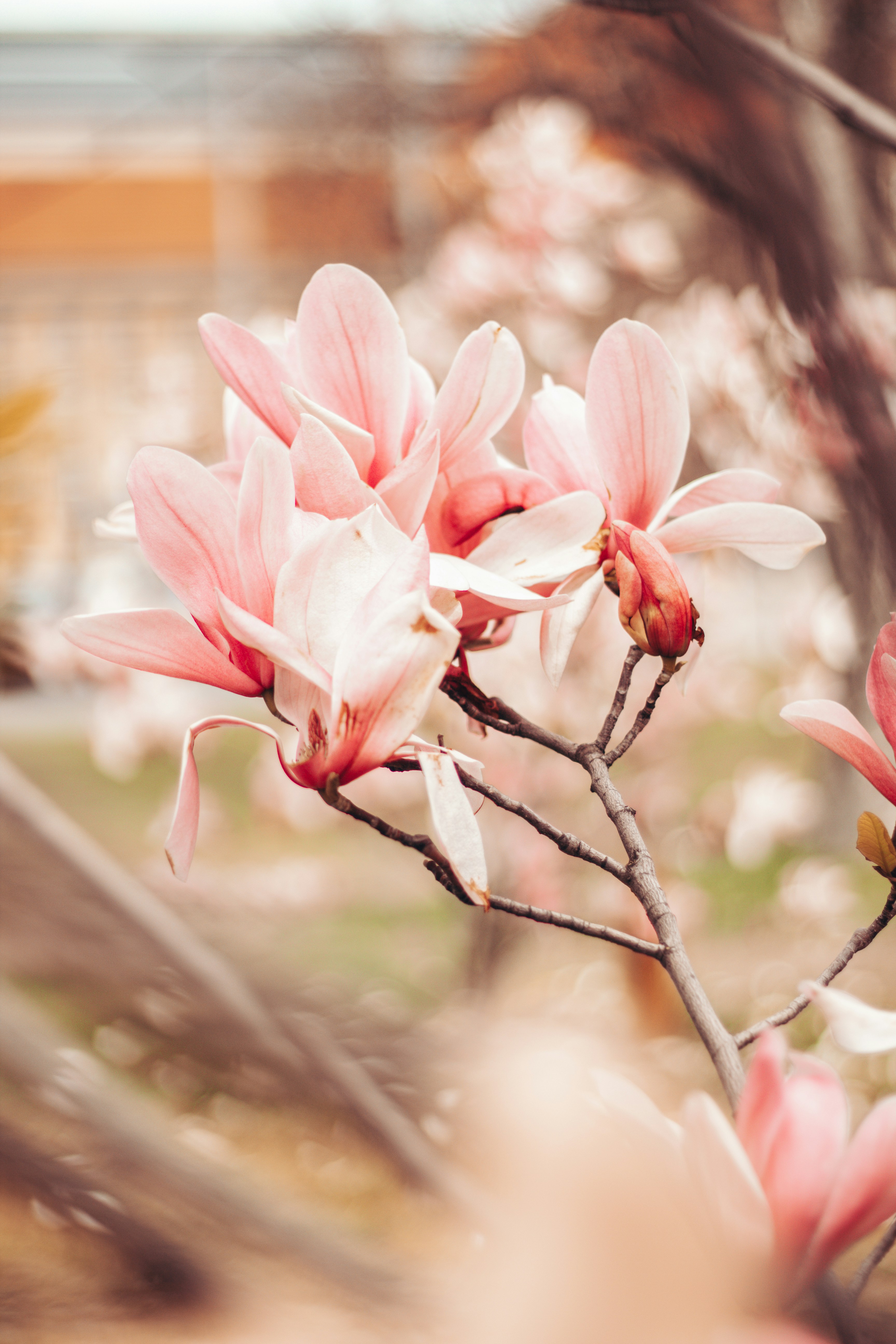 Photo by danaward