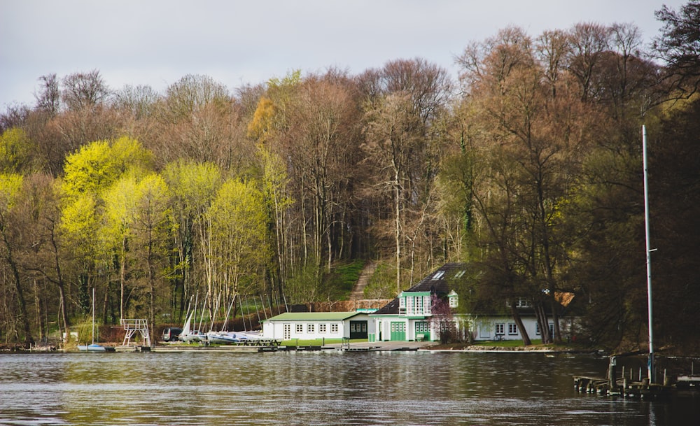 white and green house near body of water during daytime