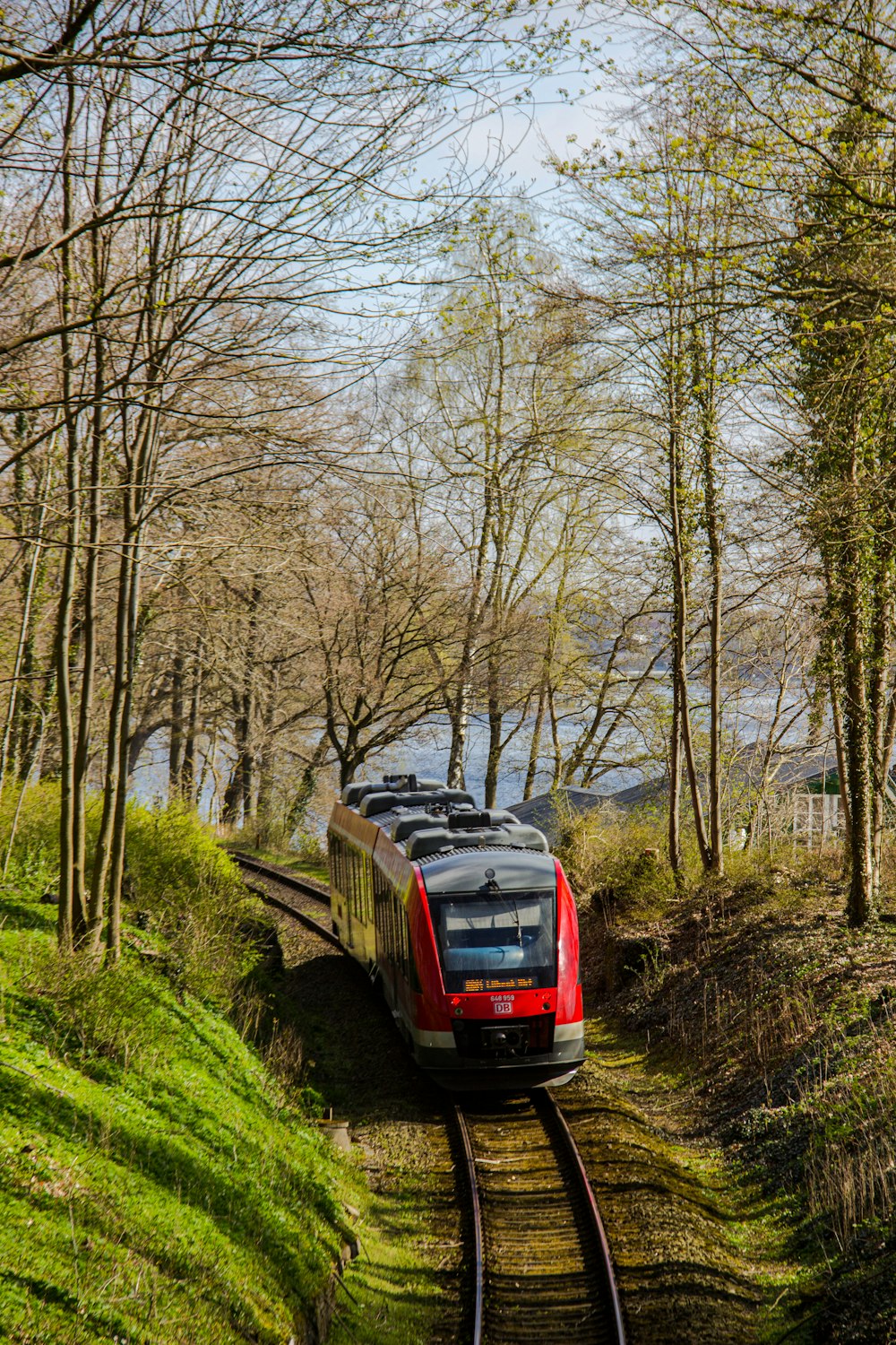 red car on road in between bare trees during daytime