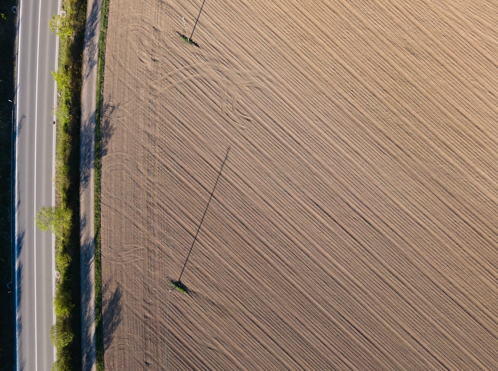 brown wooden fence near green grass during daytime