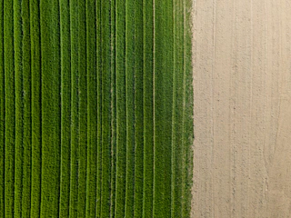 A satellite image overlay showing healthy and stressed crop zones with green and yellow indicators.
