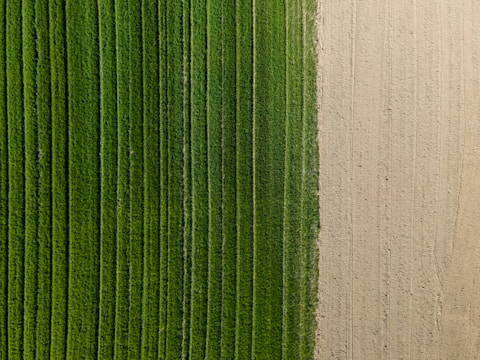 Close-up of a multispectral map showing zones of crop stress and vigor differences.