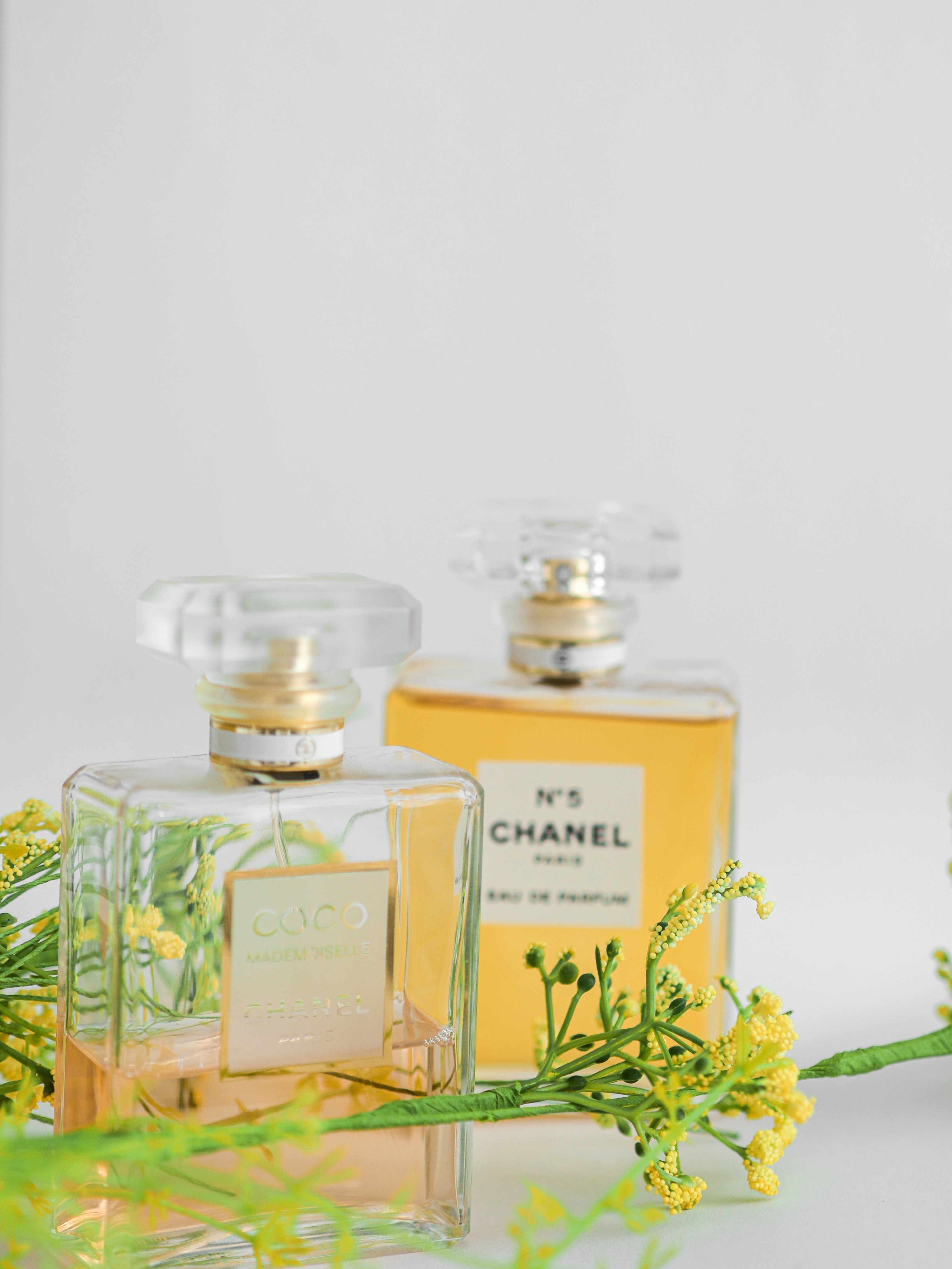 Photo by laurachouette