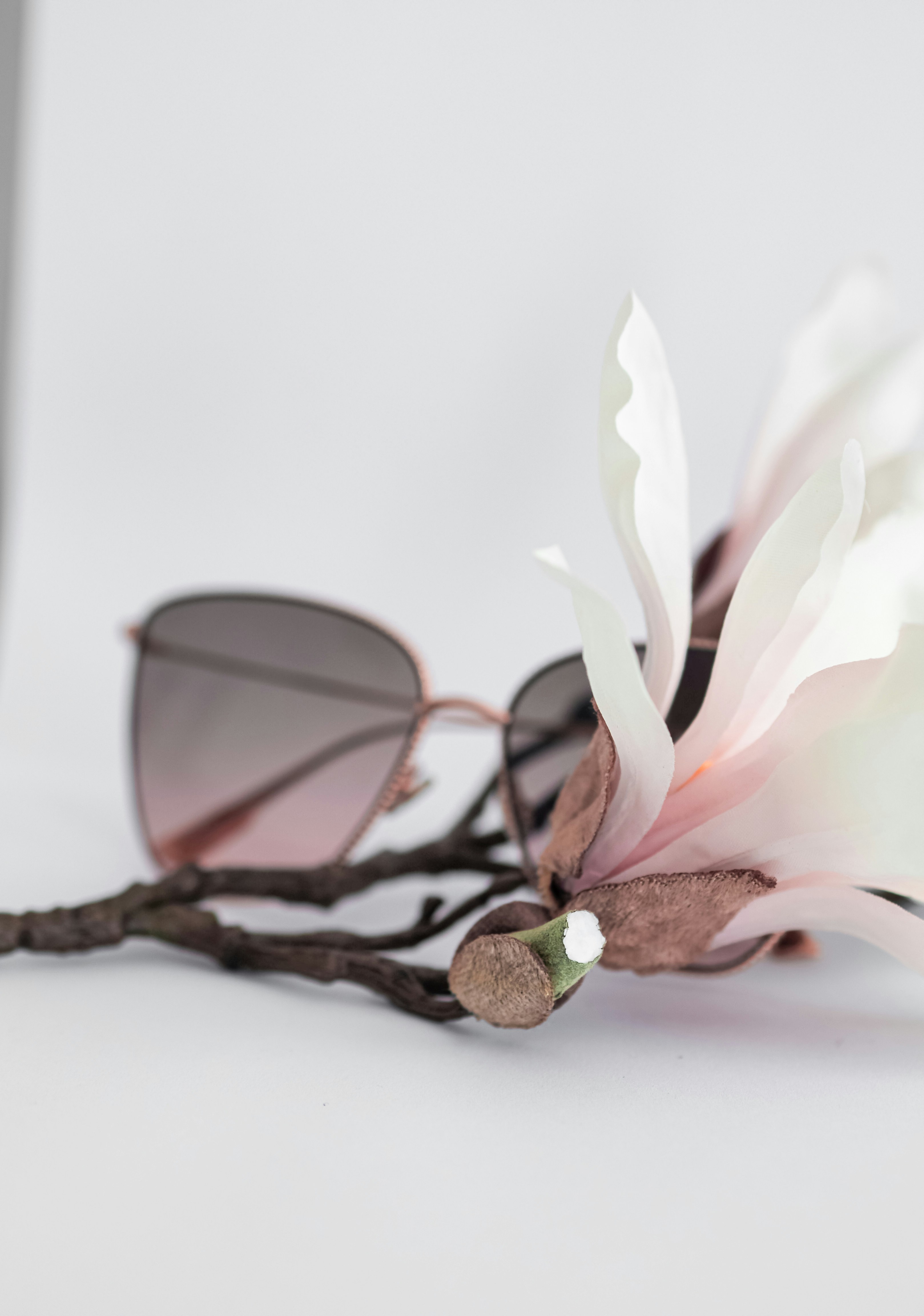 Photo by laurachouette