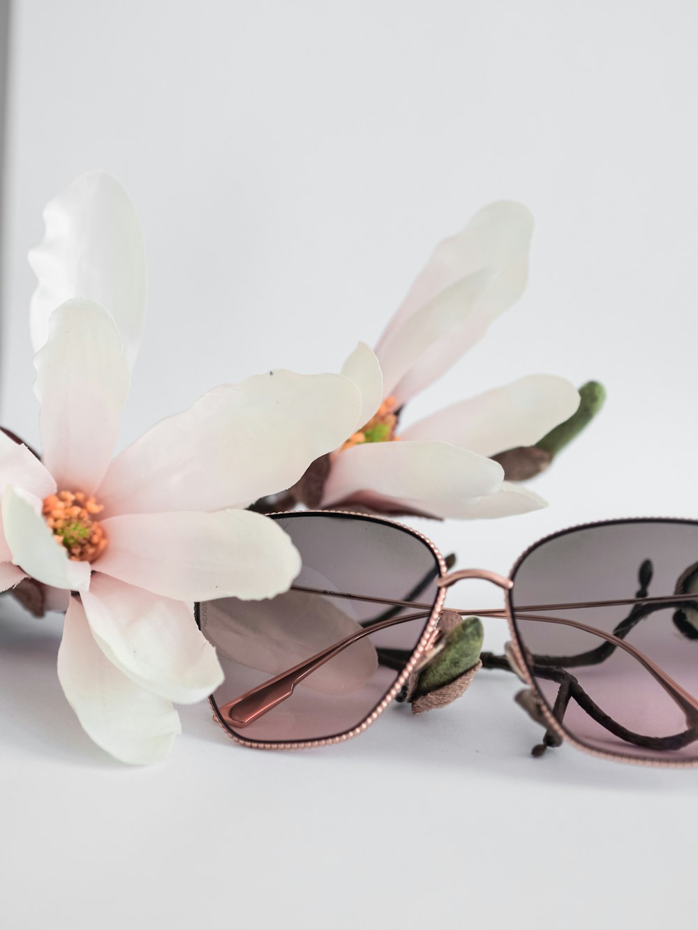 white moth orchid beside black framed eyeglasses