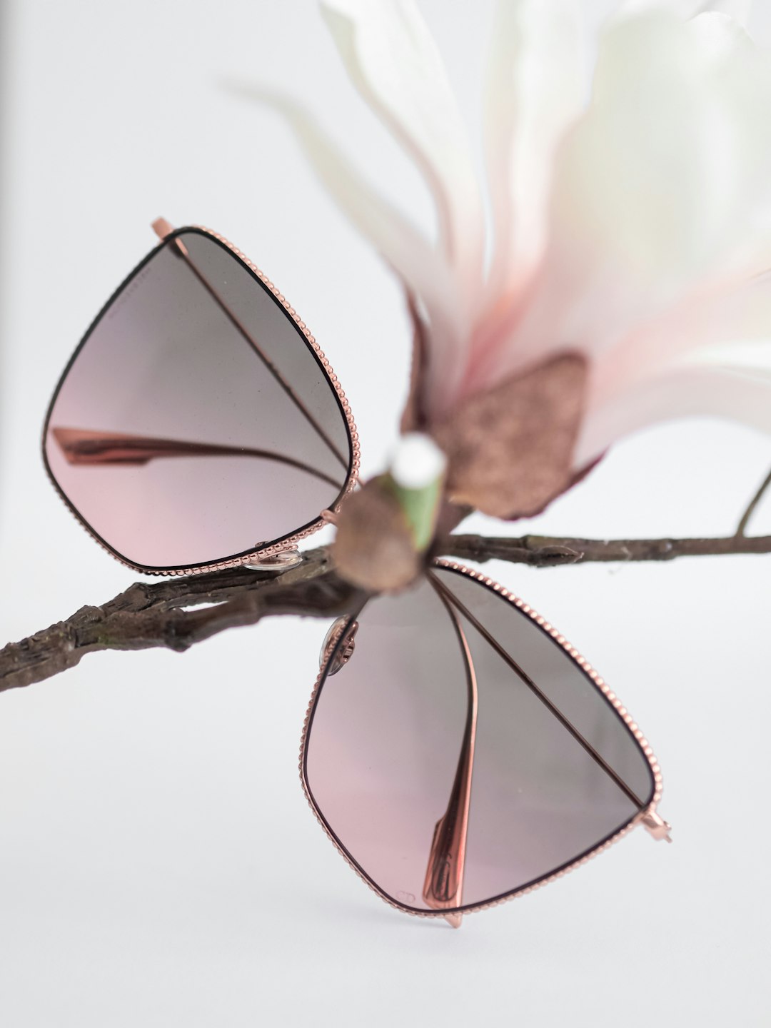 black framed sunglasses on white flower