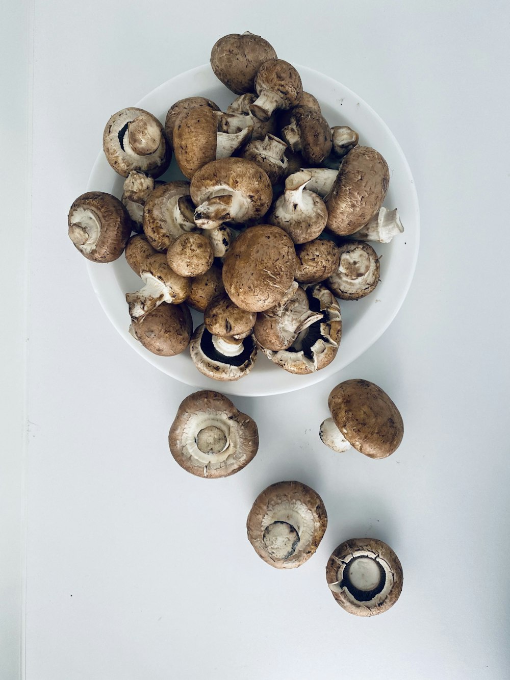 brown and white mushrooms on white ceramic bowl