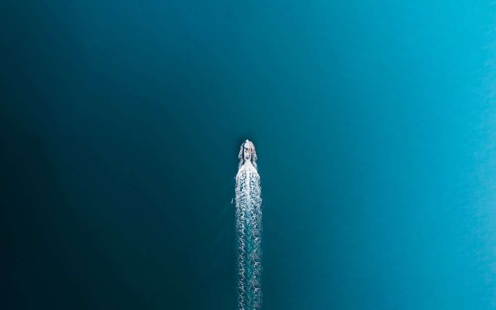 Torre blanca y azul bajo el cielo azul