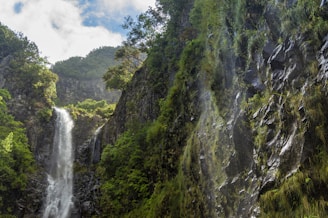 waterfalls in the middle of green and brown mountain