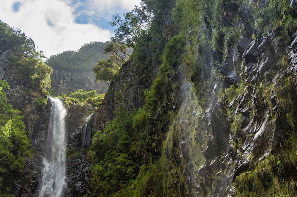 waterfalls in the middle of green and brown mountain