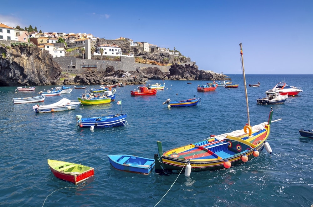 boats on body of water near city buildings during daytime