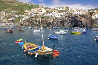 green and yellow boat on body of water during daytime