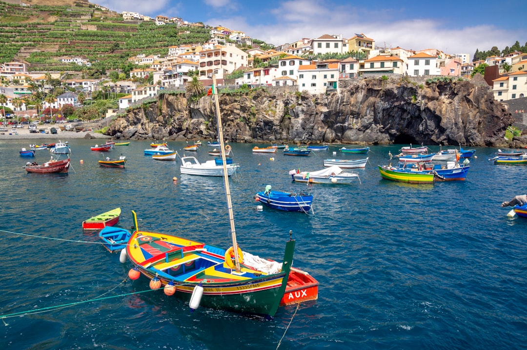 green and yellow boat on body of water during daytime