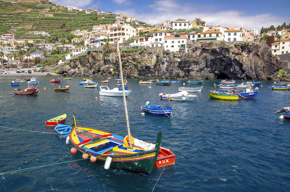 Madeira travel guide