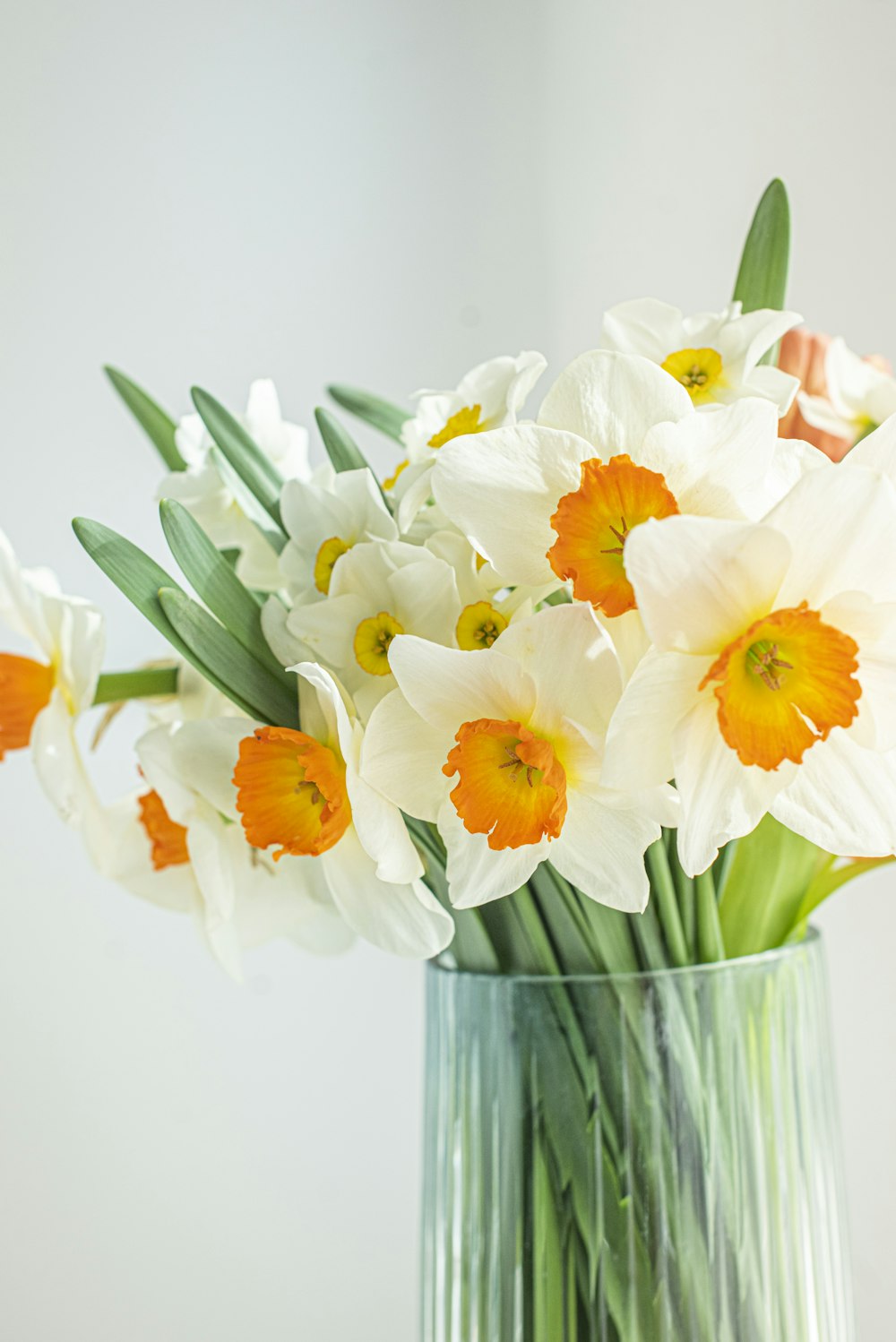 투명한 유리 꽃병에 흰색과 주황색 꽃