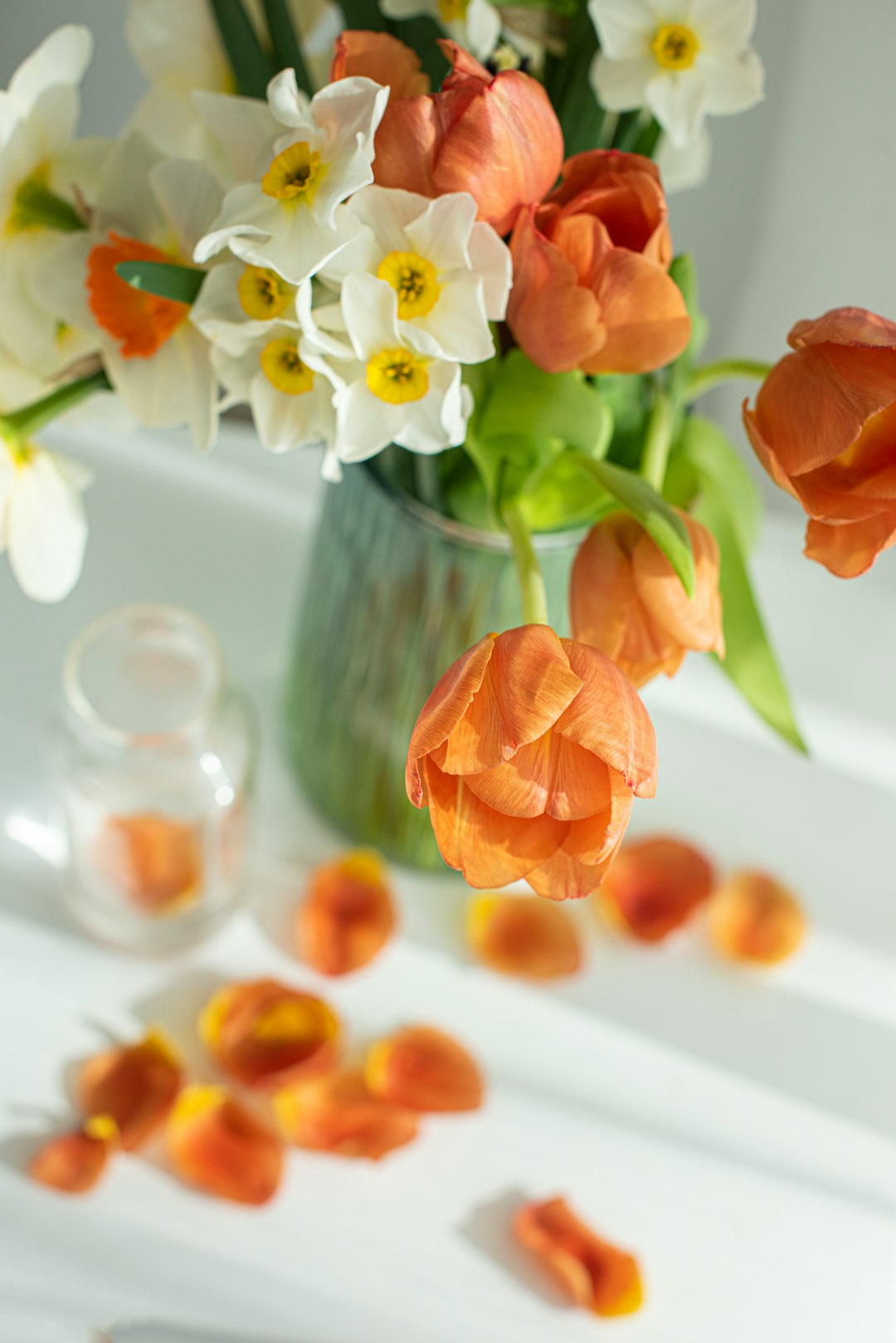 orange and white flowers in clear glass vase