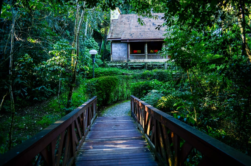 brown wooden bridge in the middle of green trees