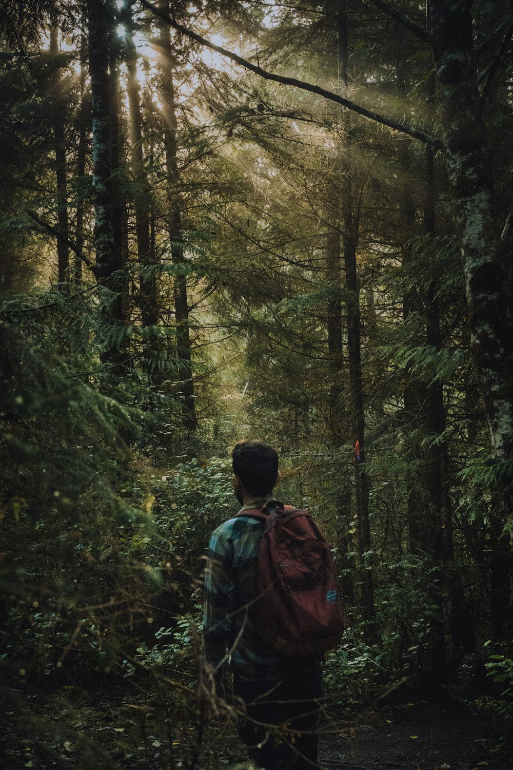 man in green jacket standing in the middle of forest during daytime