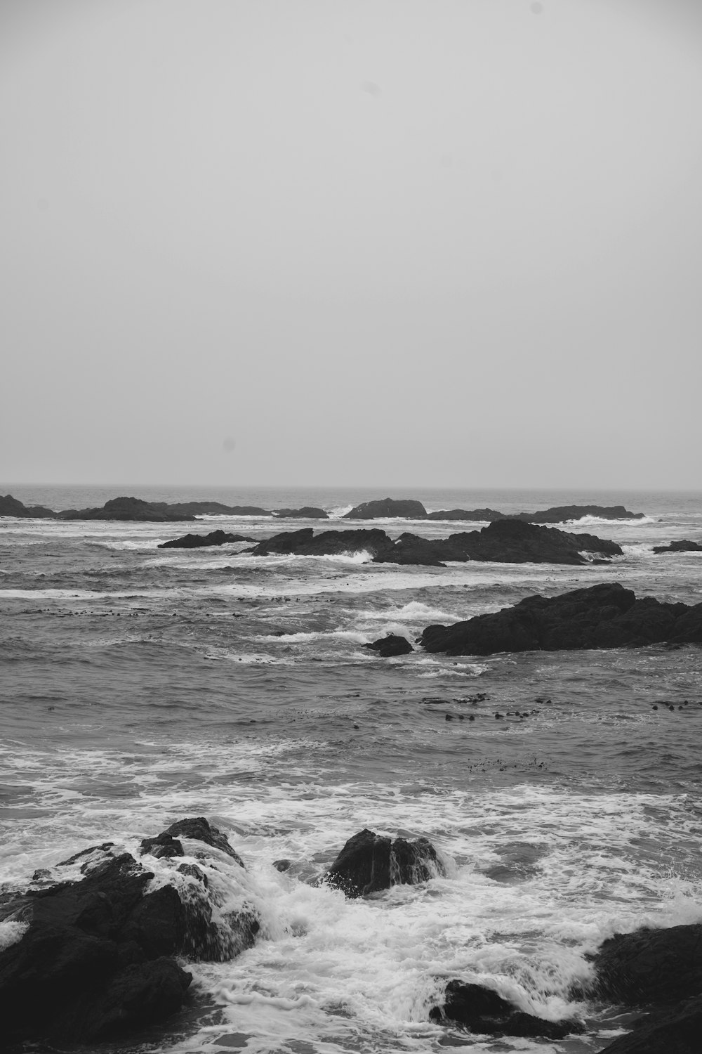 grayscale photo of rocky shore