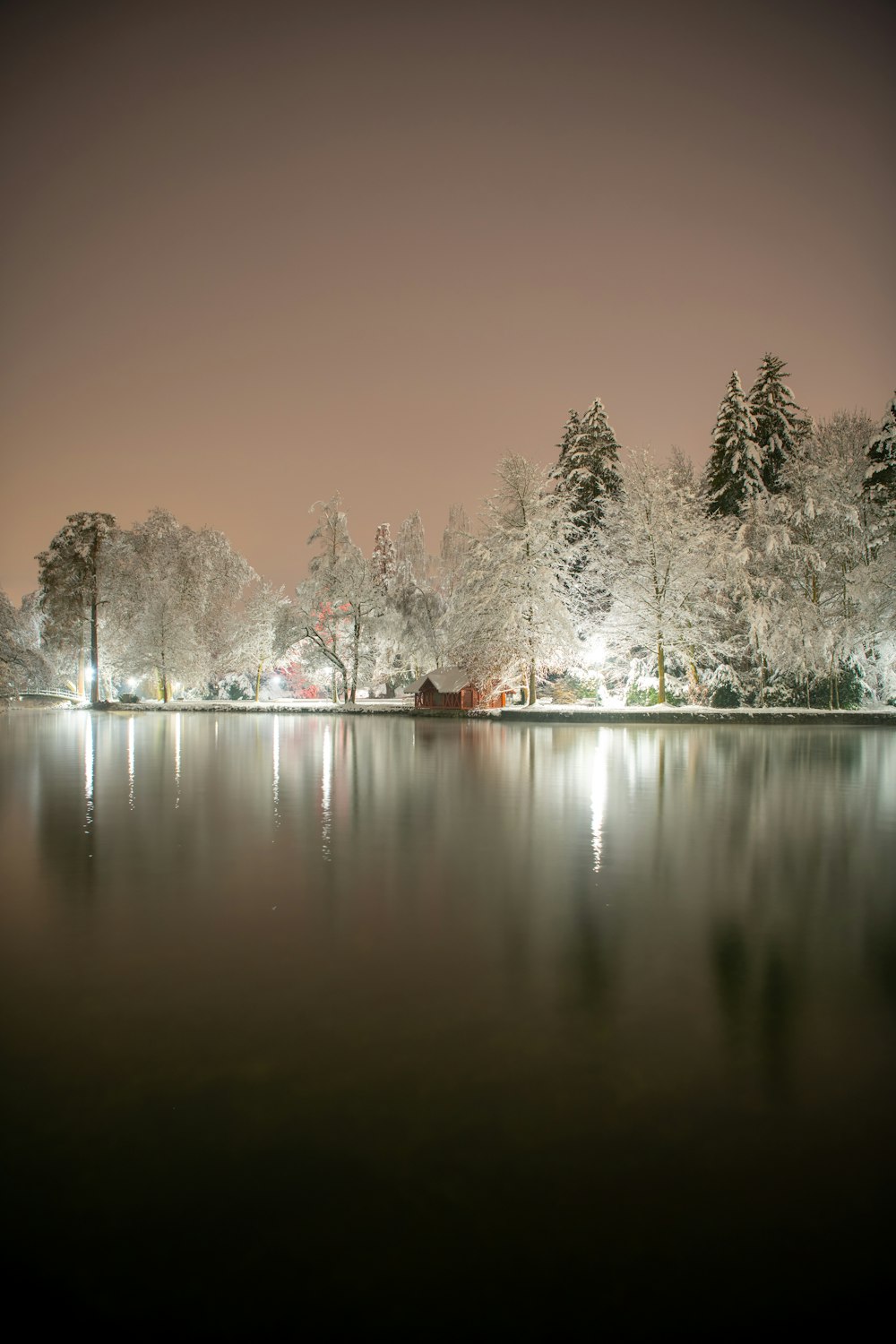 green trees beside body of water during daytime