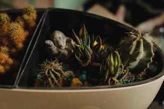 A small, oval-shaped planter contains various types of cacti and succulents with a miniature figurine of an elephant. The cacti display a range of textures, with some being spiky and others having smoother surfaces. The soil is visible, with blue and green decorative stones scattered around.