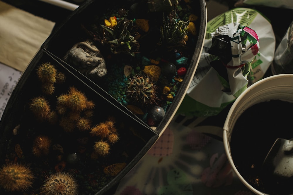 a cup of coffee sitting next to a container of plants