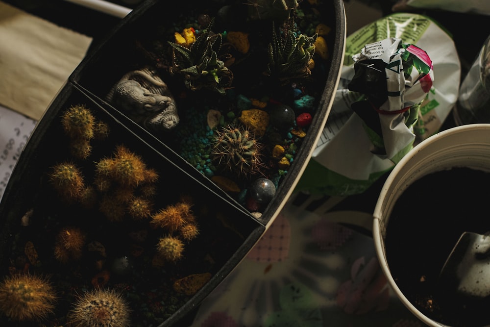 Eine Tasse Kaffee neben einem Behälter mit Pflanzen