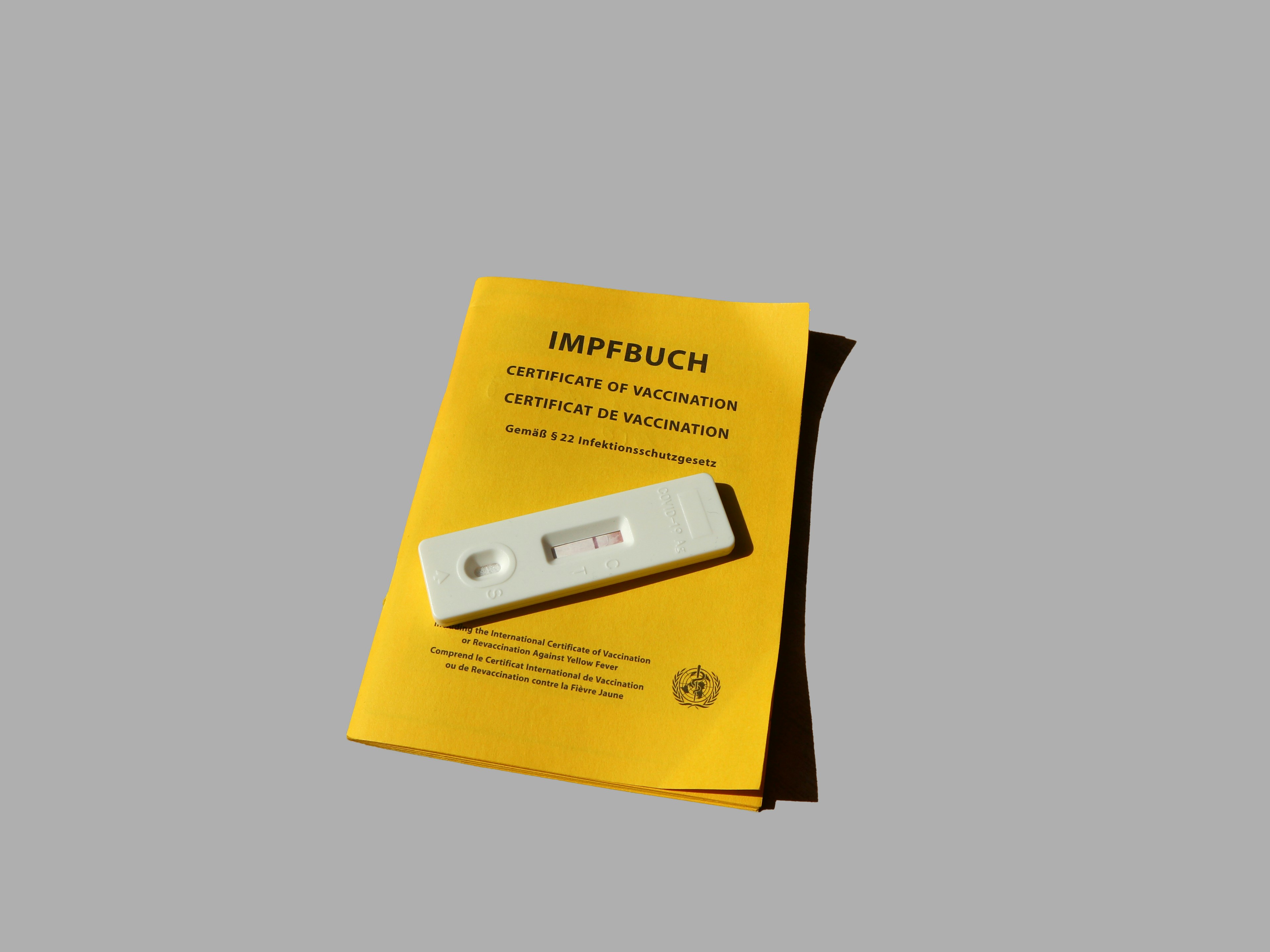 Uluslararası Sertifikalar E-Devlette Görünür Mü?