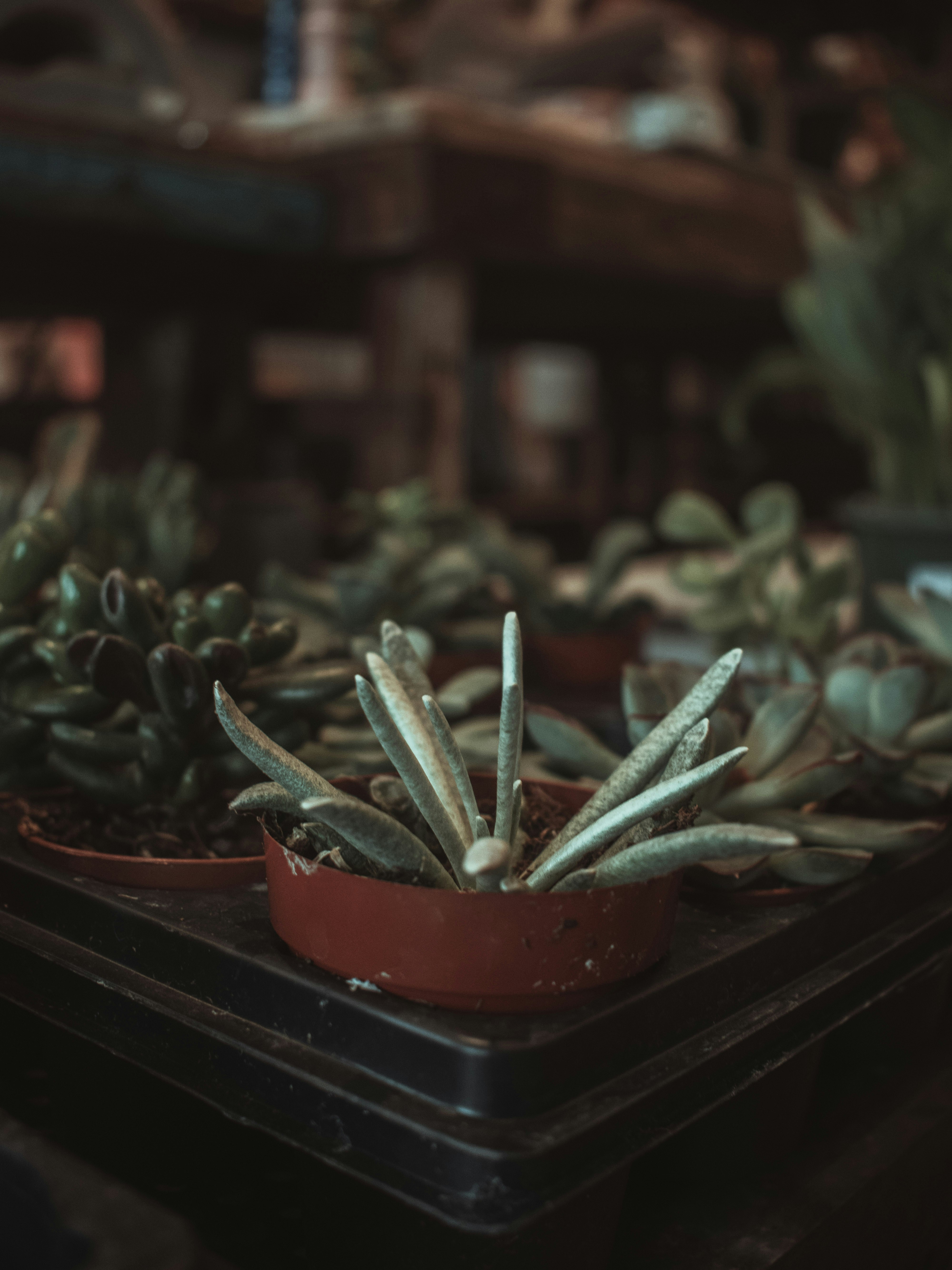 Photo by mariahhewines