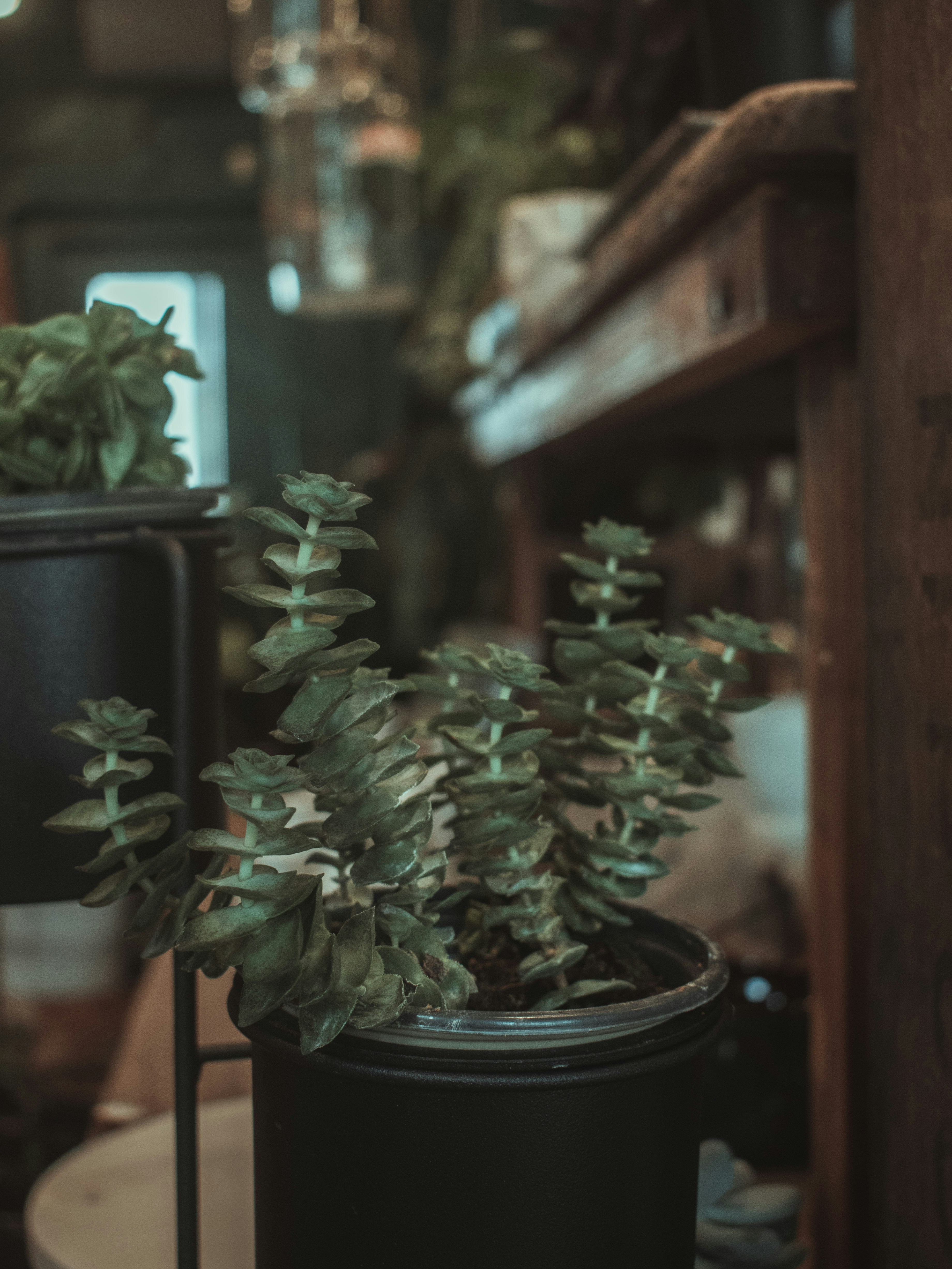 Photo by mariahhewines