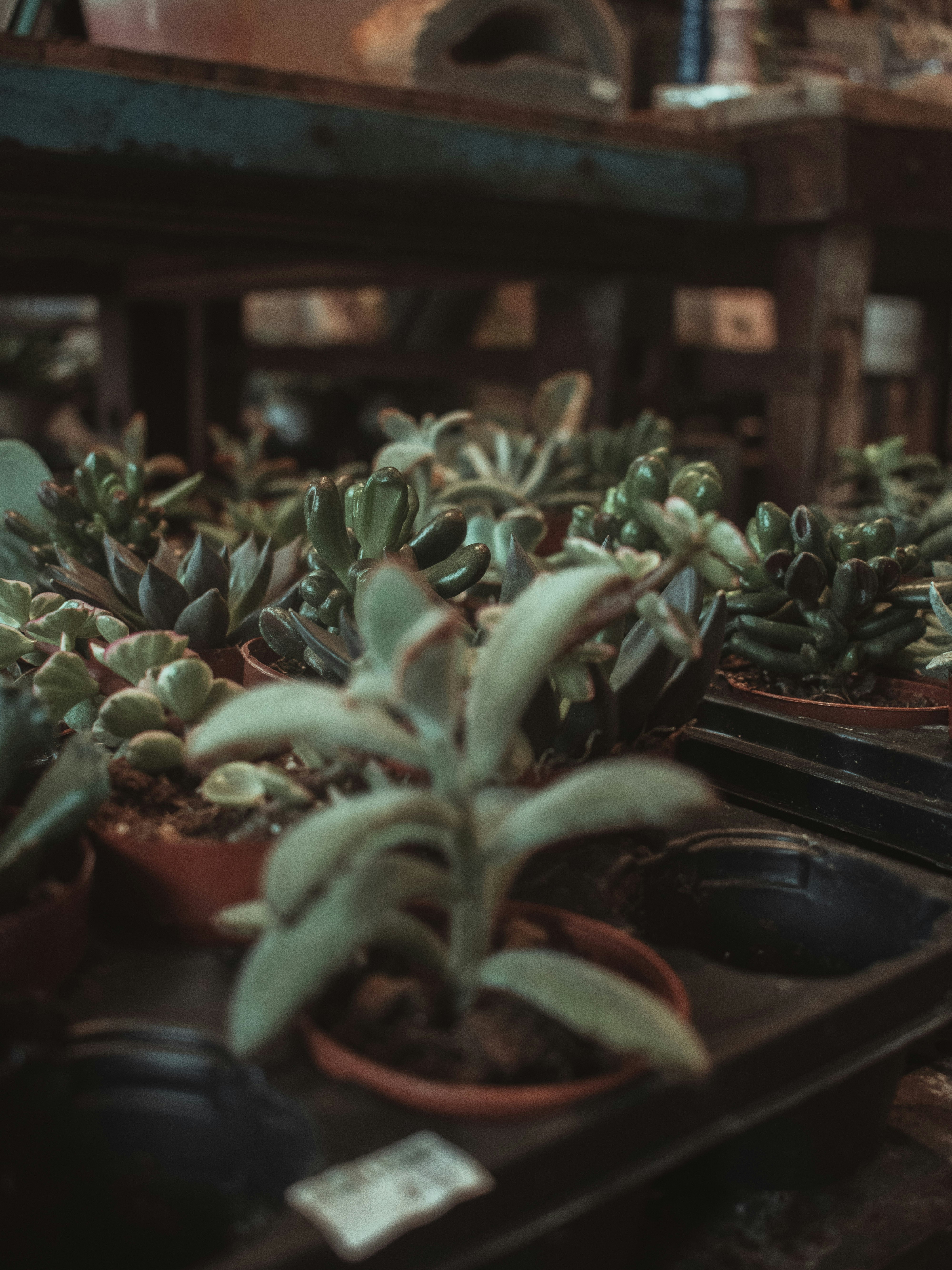 Photo by mariahhewines