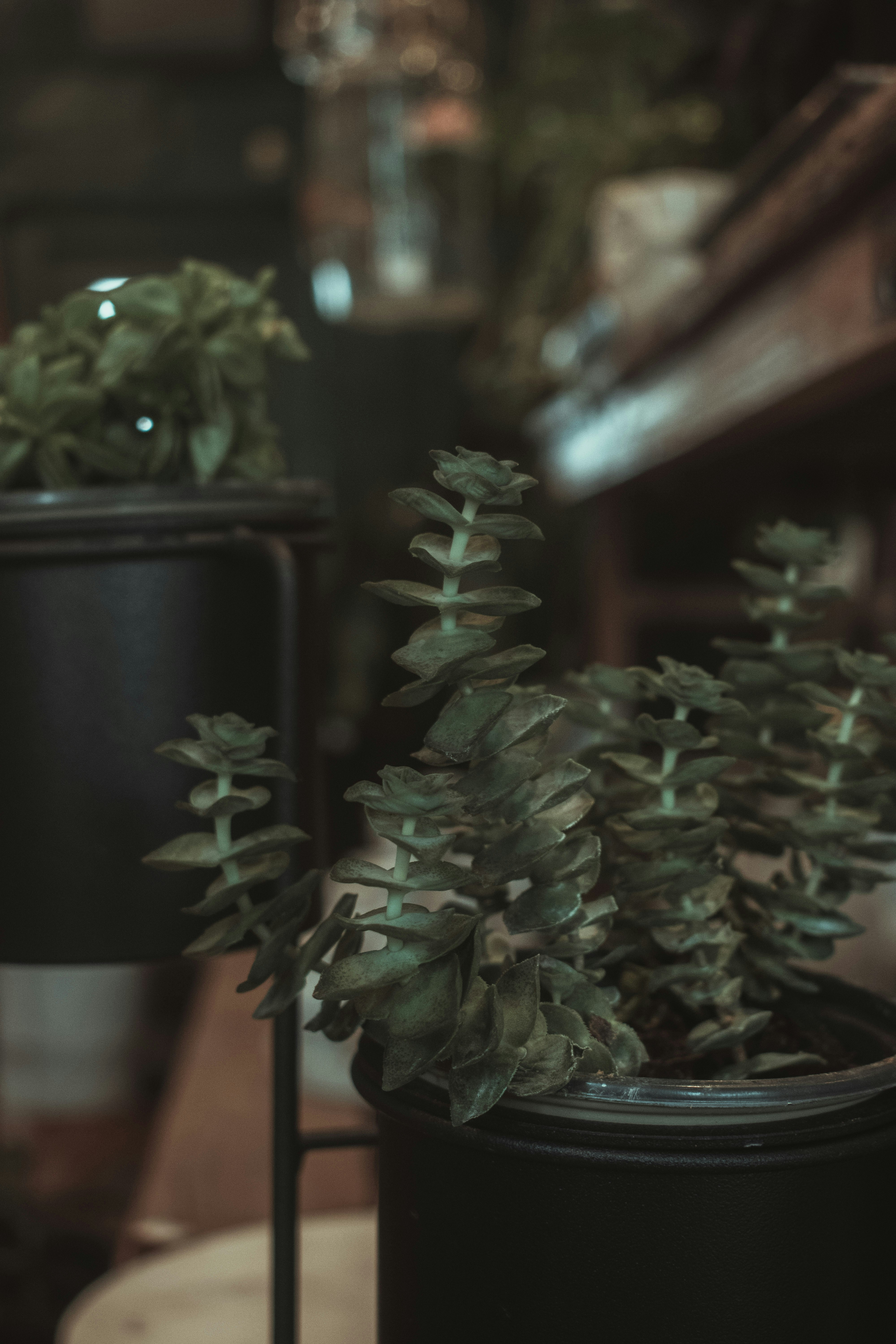 Photo by mariahhewines