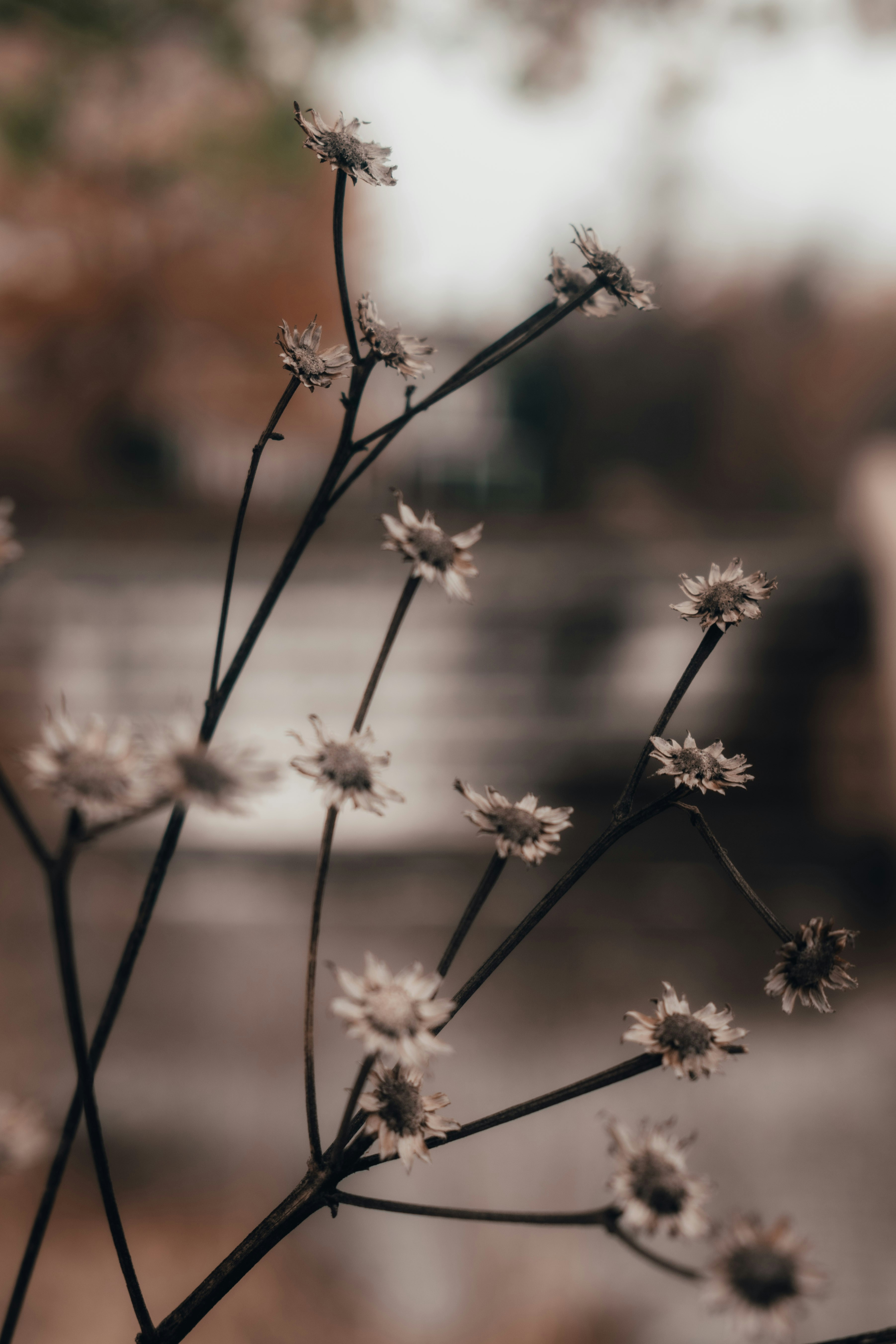 Photo by mariahhewines