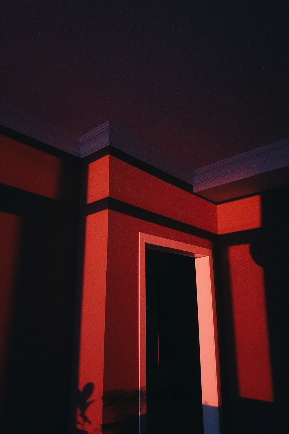 a room with red walls and a black door