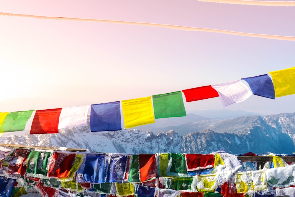 flags on poles under blue sky during daytime