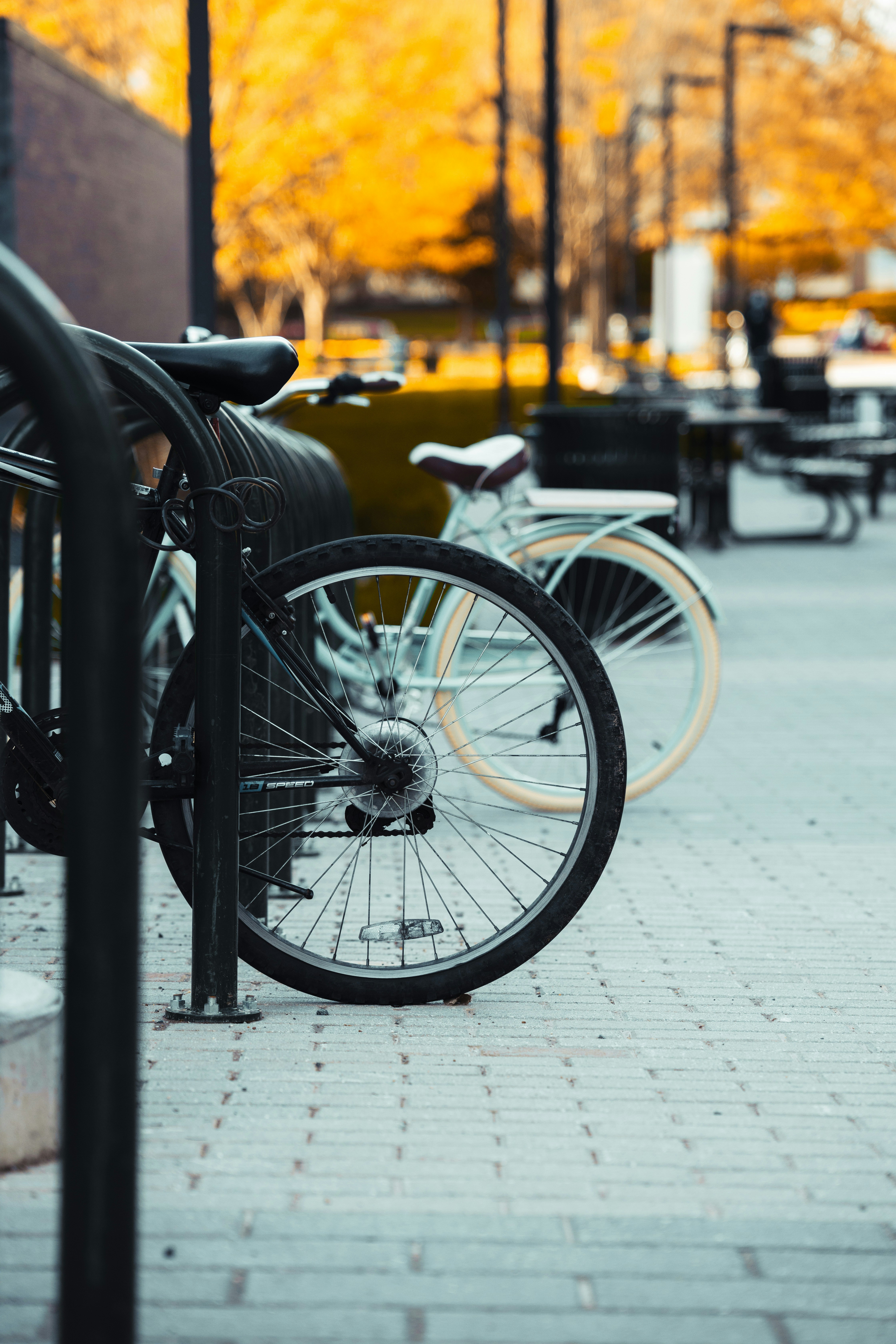 Photo by cristnzmora