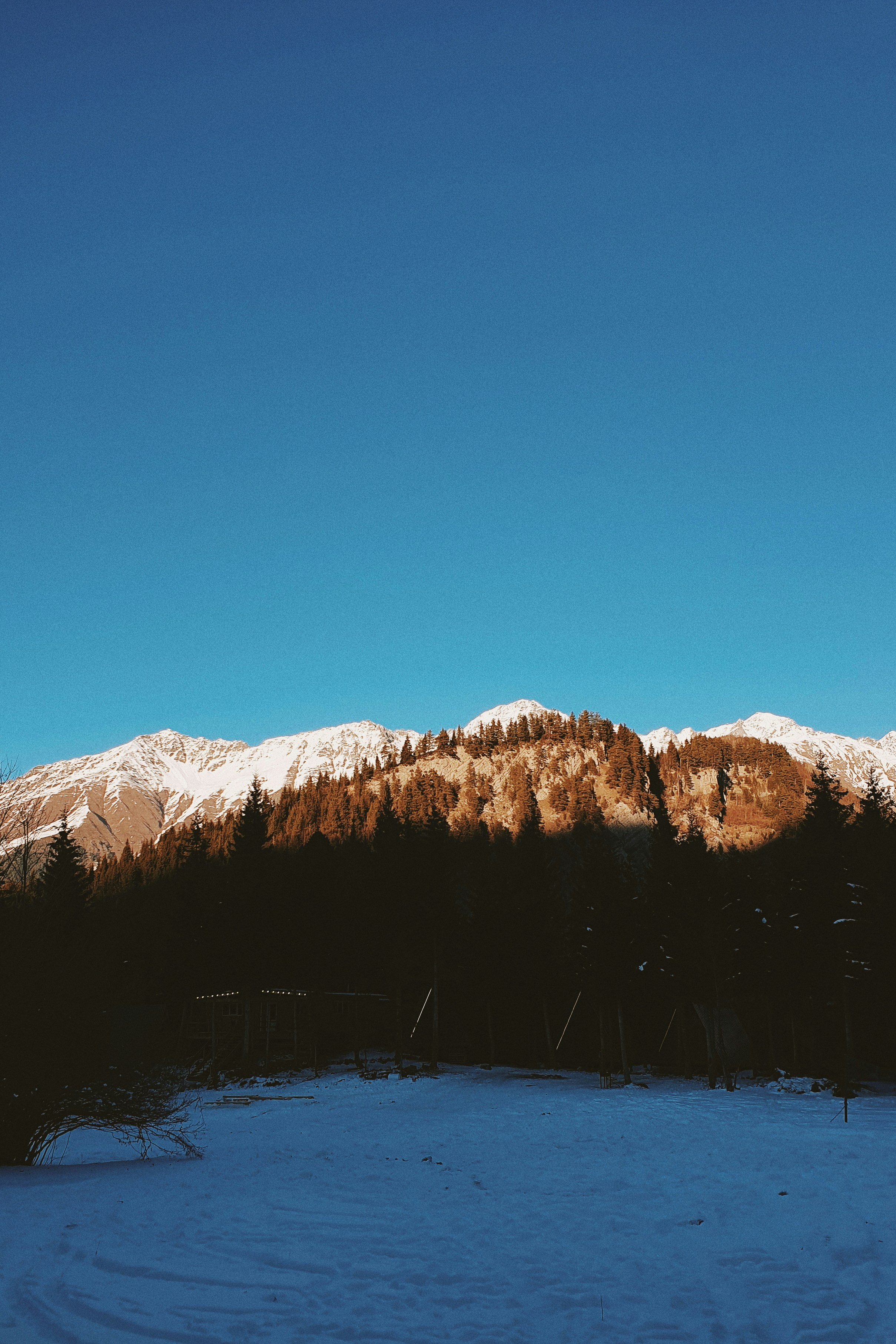 Un campo innevato con una montagna sullo sfondo