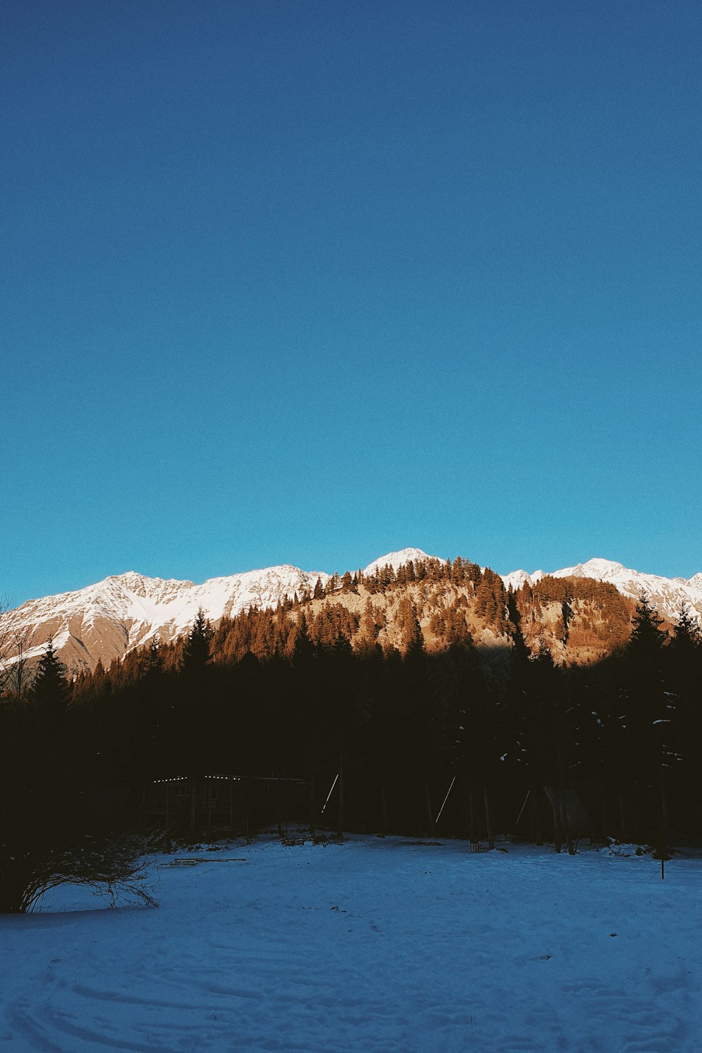 a snow covered field with a mountain in the background