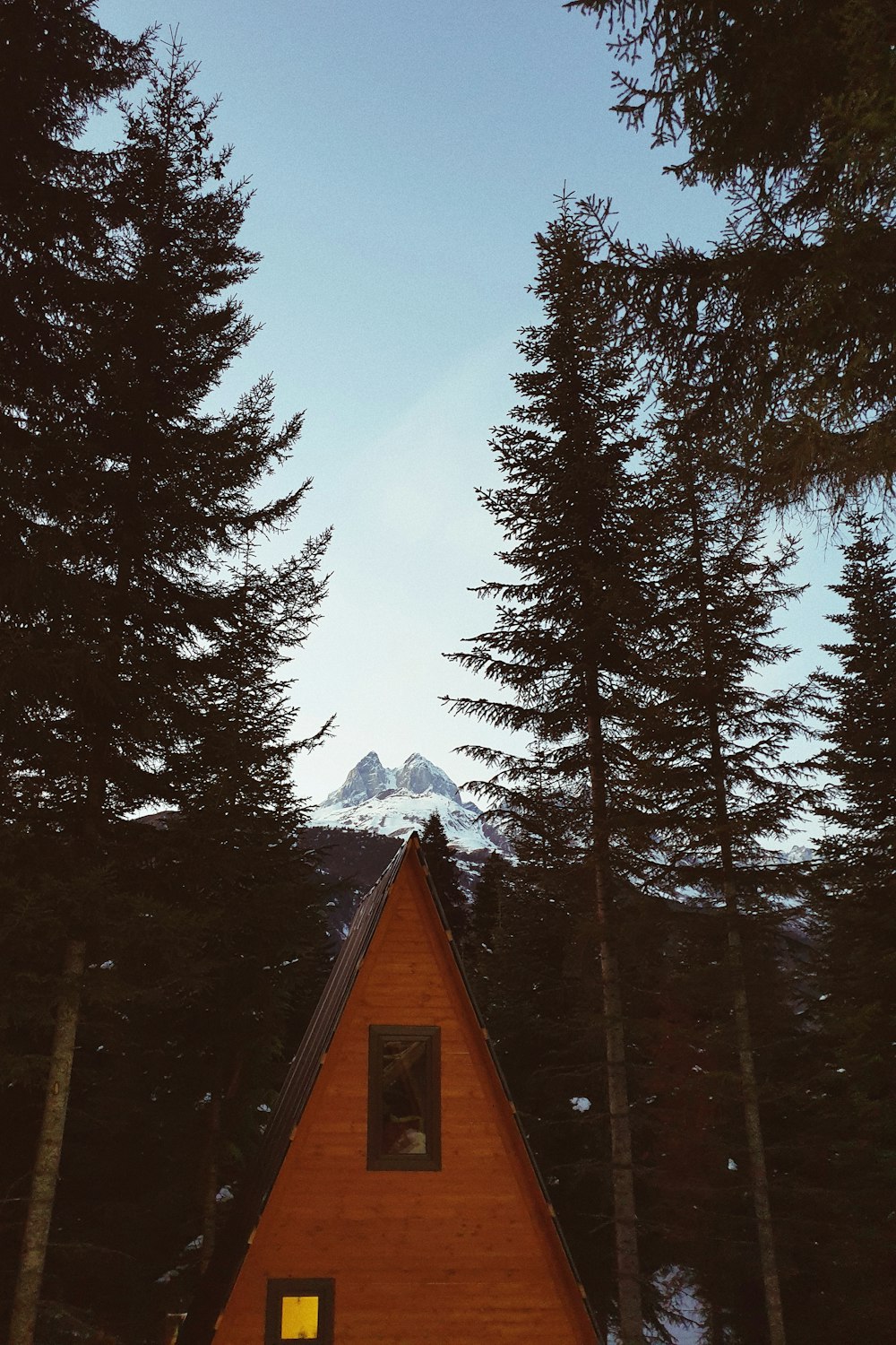 a cabin nestled in the woods with a mountain in the background