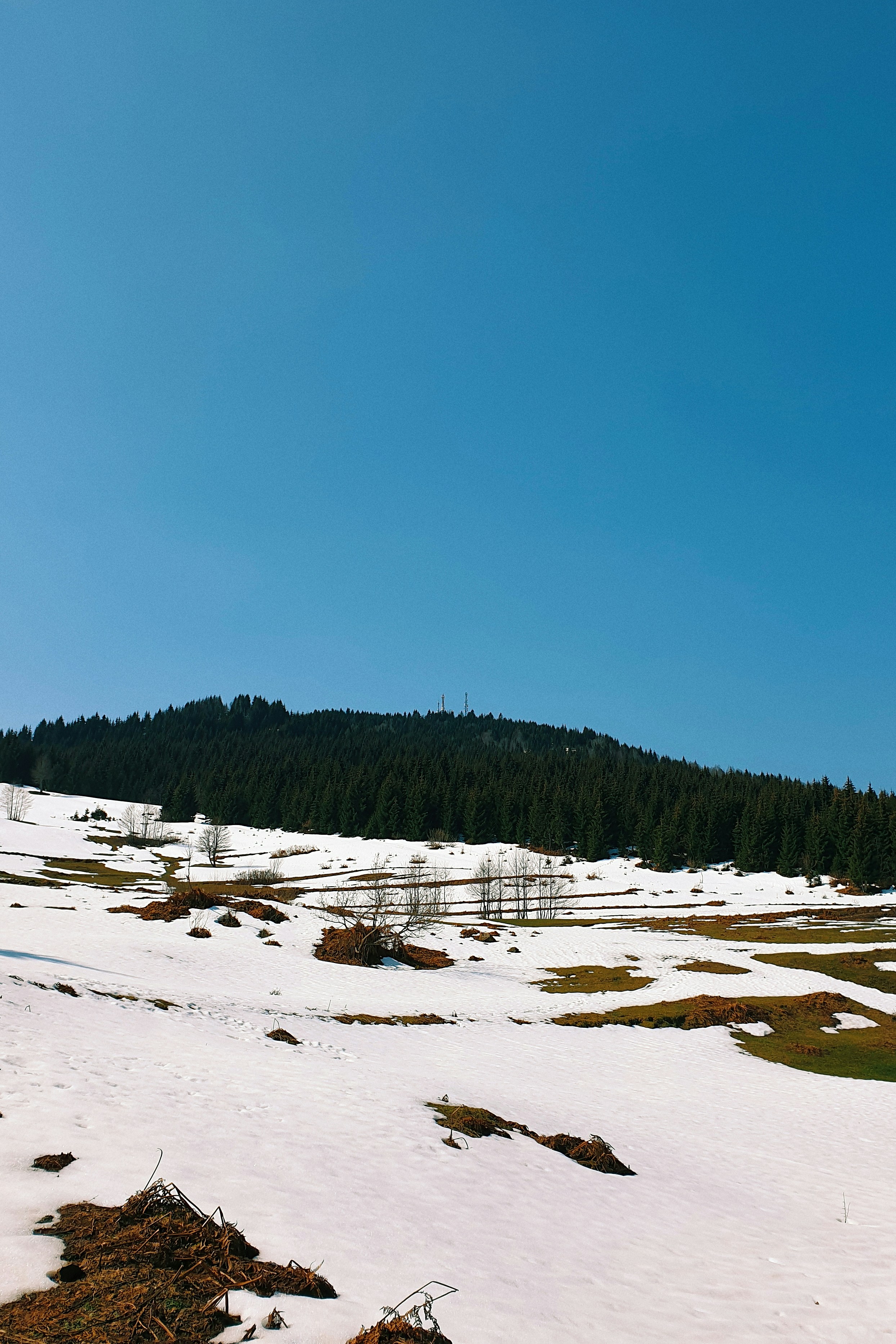 Un campo innevato con una collina sullo sfondo
