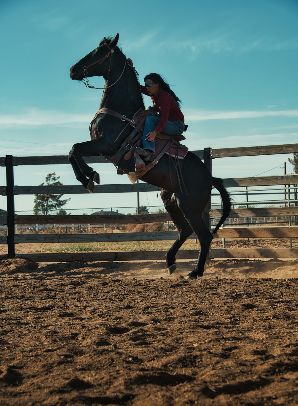 Hombre con camisa roja montando caballo marrón durante el día