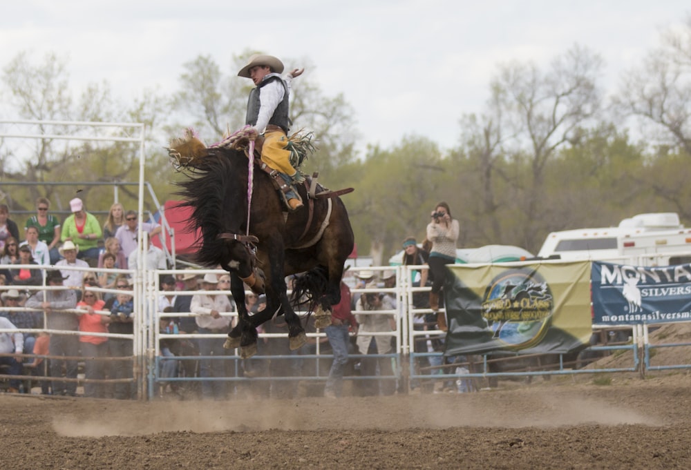 man riding horse on brown field during daytime