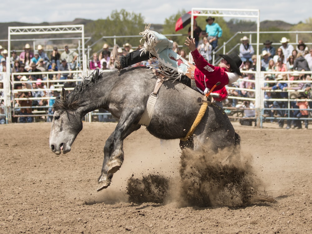 man riding horse on brown sand during daytime