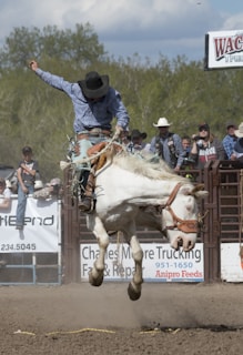 A rodeo scene features a cowboy riding a bucking white horse. The cowboy is dressed in traditional attire, including a blue patterned shirt and a black hat. Dust is kicked up from the ground, indicating the horse's movement. In the background, several onlookers are watching the event from behind a fence.